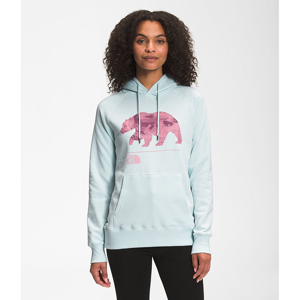 The North Face Sweatshirts Womens Australia - The North Face Bearscape 2.0 Pullover Hoodie Blue (NWD